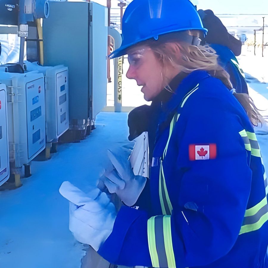 69543703b38fc0.13487688Processed